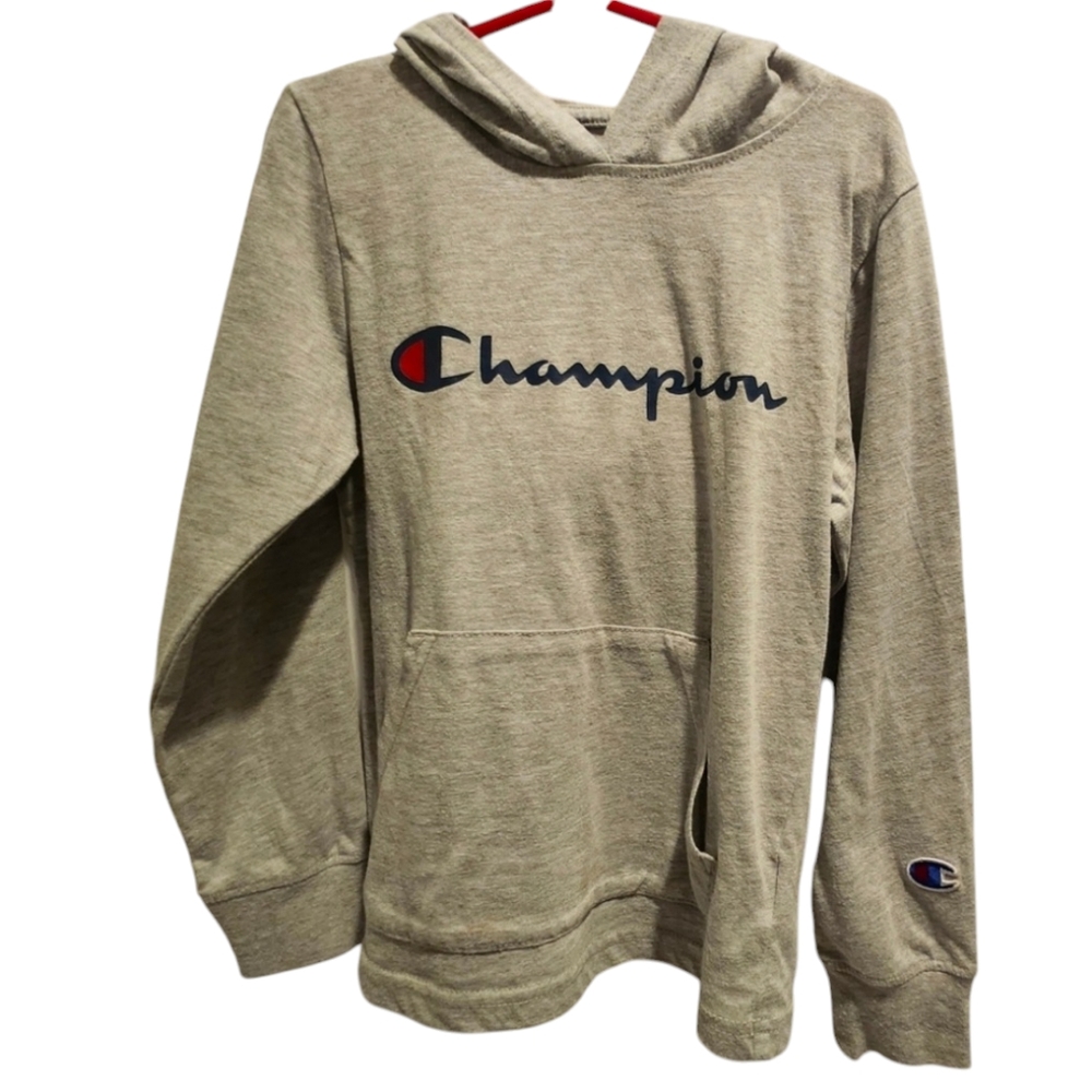 Champion Gray Hoodie - Picture 1 of 4